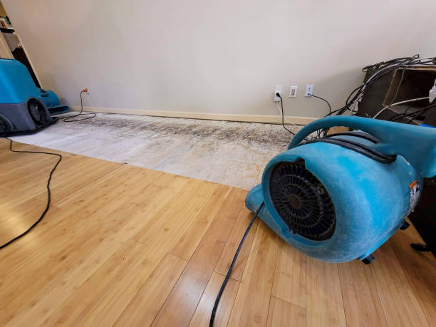 Professional Water Damage Repair technician working in Lynnwood, WA